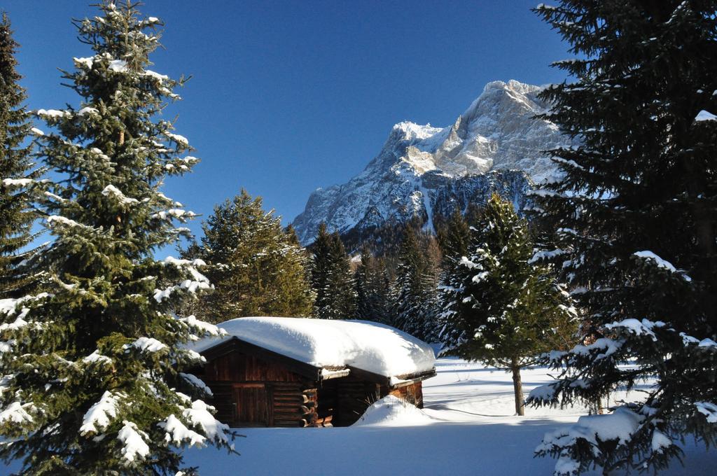 Hotel Alpen Residence Ehrwald Dış mekan fotoğraf